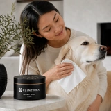 Owner routine with a cream-colored dog