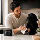 Owner routine with a black Labrador