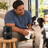 Home from the park: gentle paw care with a border collie