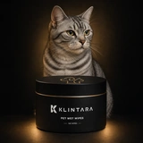 Pet lifestyle with a silver tabby