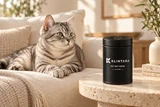AI-styled scene of a silver tabby resting beside the closed Klintara tub